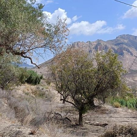 Cortijo Cipres Apartman Vélez Blanco Kültér fotó