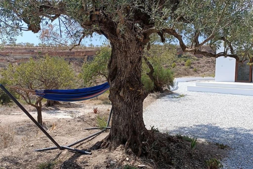 Cortijo Cipres Apartman Vélez Blanco Kültér fotó